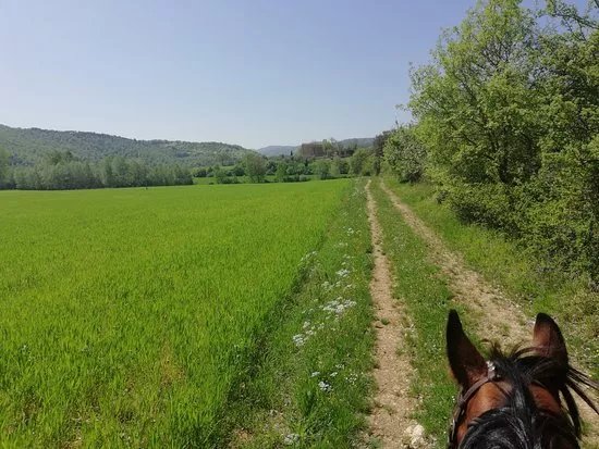 Maneggio Crazy Horse