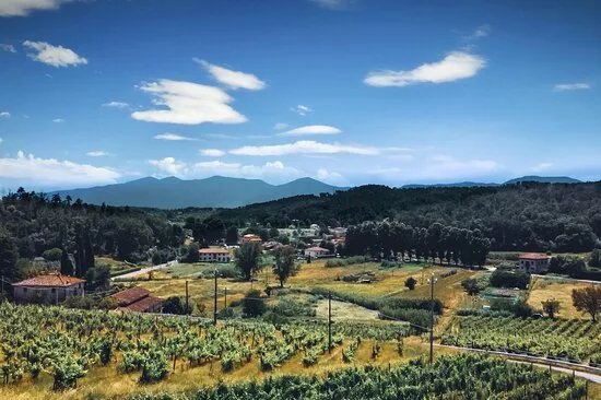 AZIENDA AGRICOLA VALLE DEL SOLE