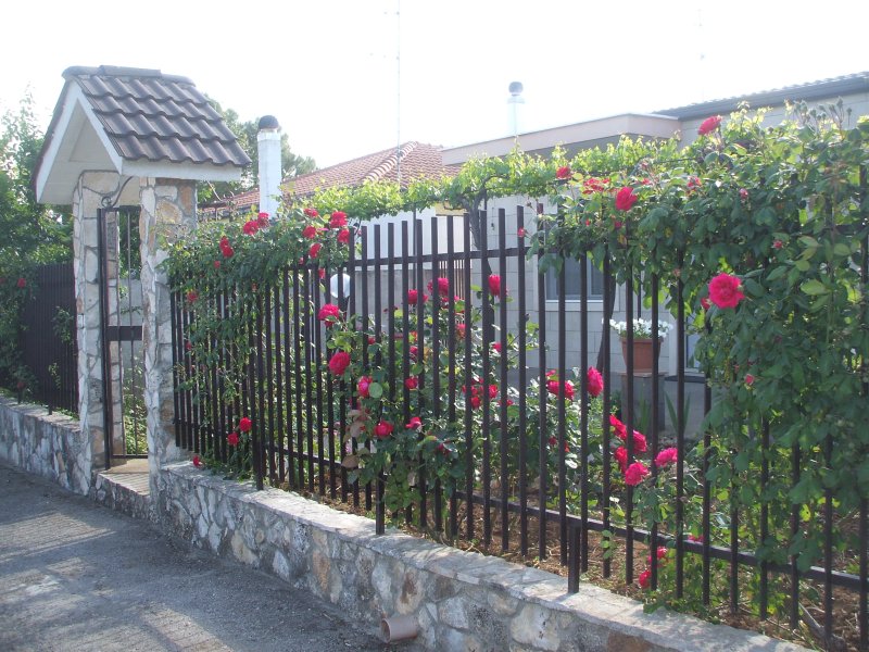 B&B Villa Paradiso