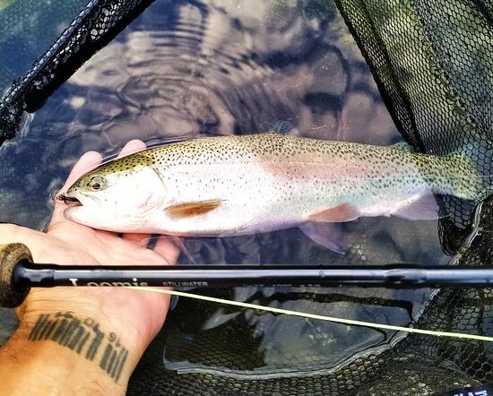 Lake Green Fishing