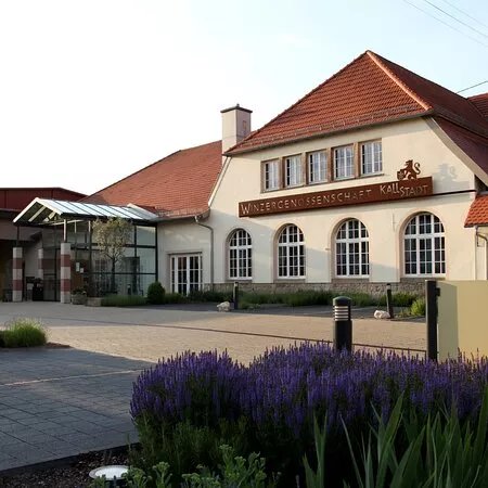 Winzergenossenschaft Kallstadt eG