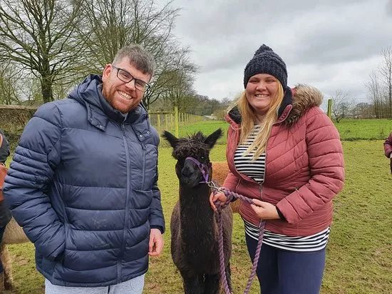 Cadenza Alpacas TLC