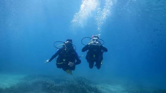 Shark Fin Scuba Diving Center