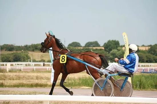 Racing Society of Cote d'Amour