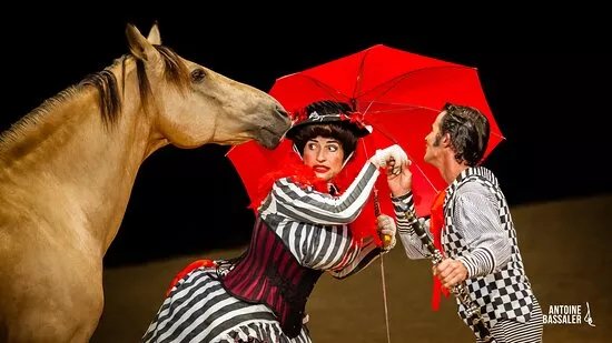 Theatre Equestre de la Pommeraye