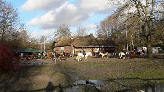Theatre Equestre de Wattrelos