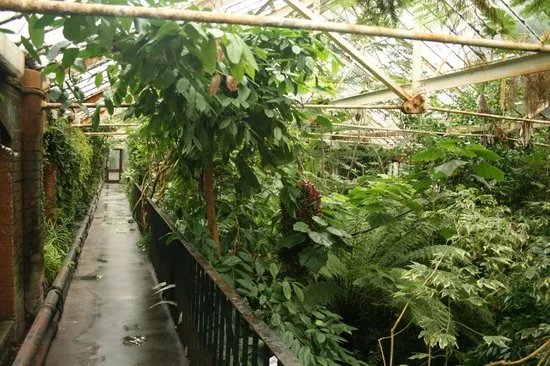 The Tropical Ravine House