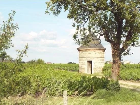 Espace des Brouilly