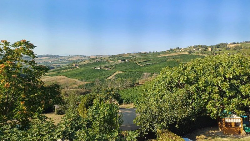 Agriturismo Angeli Sognanti