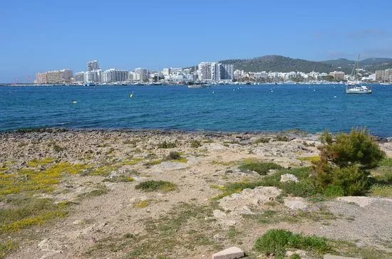 Platja de S'Arenal