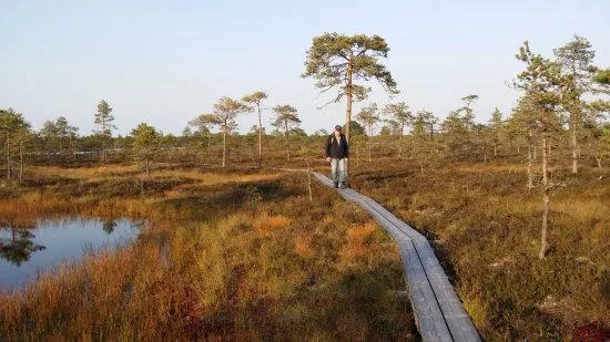 Kauhanevan-Pohjankankaan Kansallispuisto