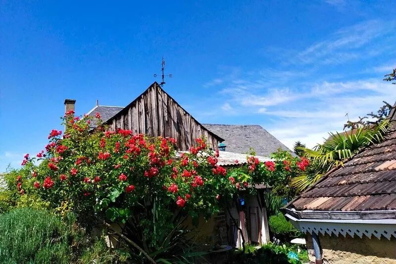 Cozy Charming cottage in the Loir and Loire valleys*** French property
