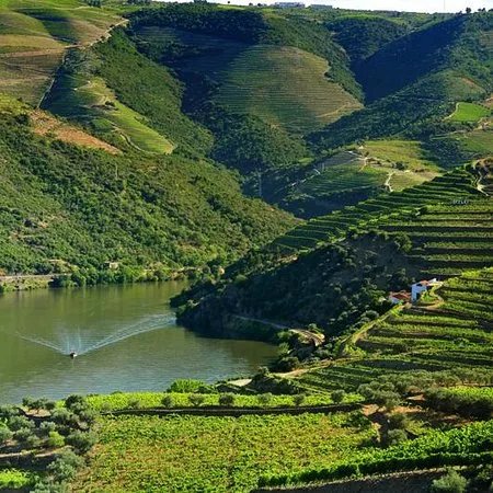 DouroValleyTours