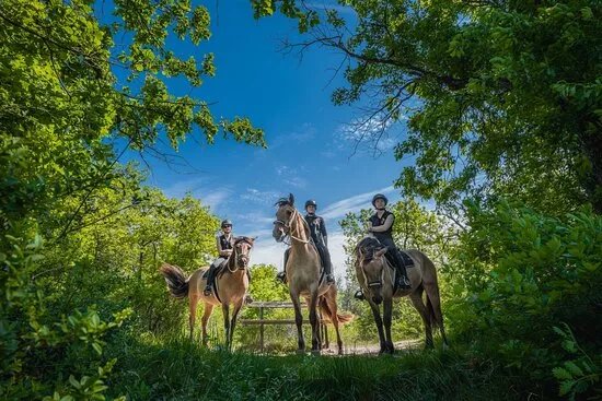 Nomad Riders