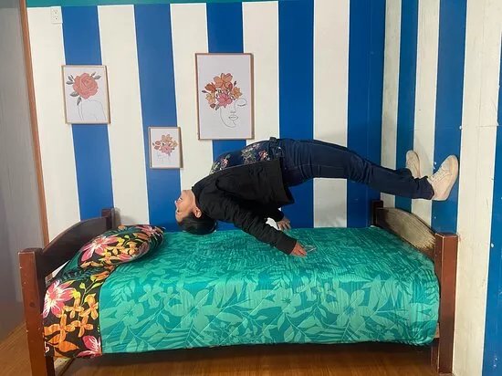 La Casa Loca
