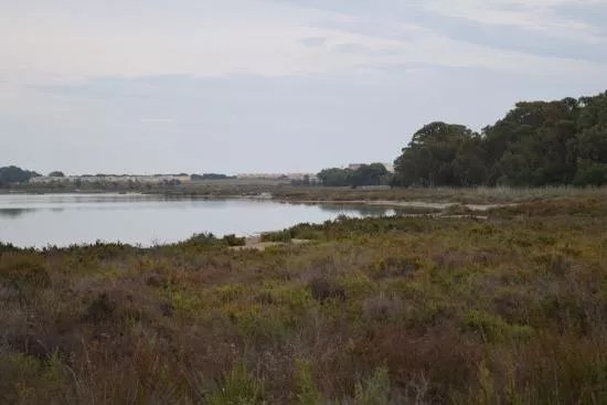Parc Natural de les Llacunes de La Mata i Torrevella