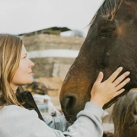 Tierra De Caballos