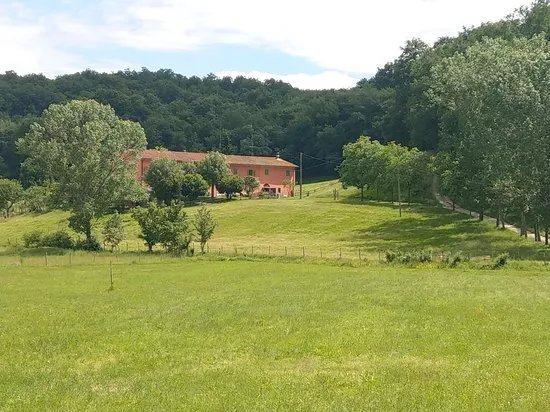 Podere Casa al Bosco