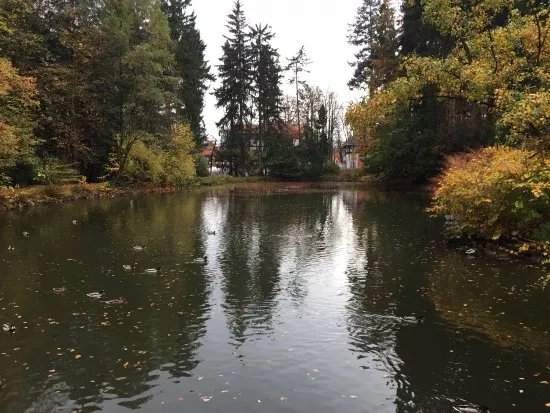 Park Szwedzki
