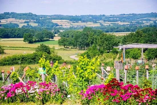 Alosnys, eco-centre en permaculture