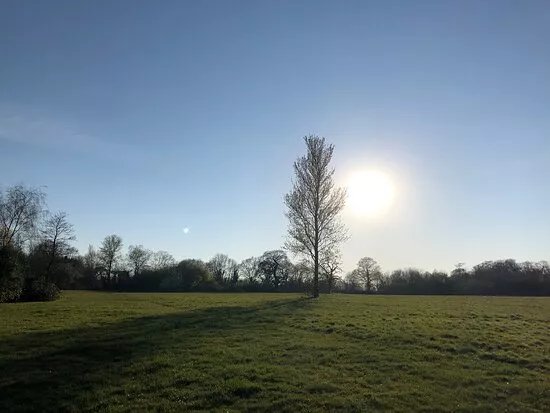 Cannon Hill Common