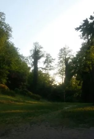 Parco Colline Moreniche di Castiglione