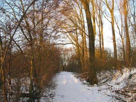 Bourgoyen-Ossemeersen Nature Reserve