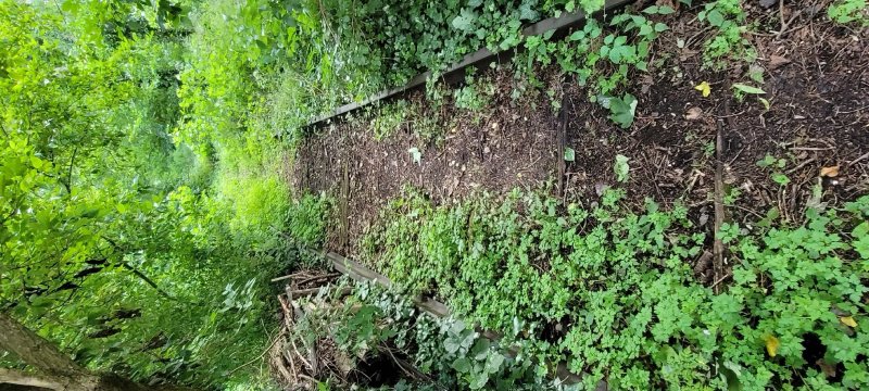 Jardin ecologique de Lille