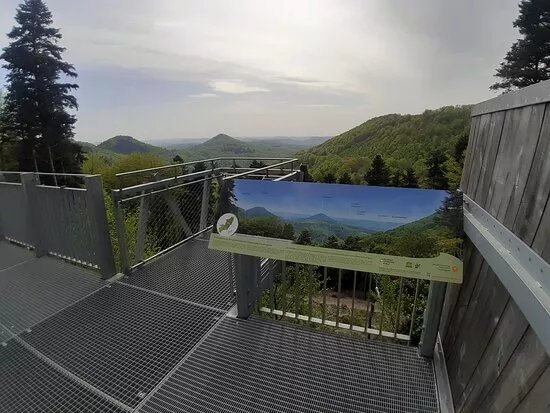 Aussichtsplattform Hermersbergerhof Pfalzerwald
