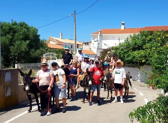 Donkey Tours Algarve