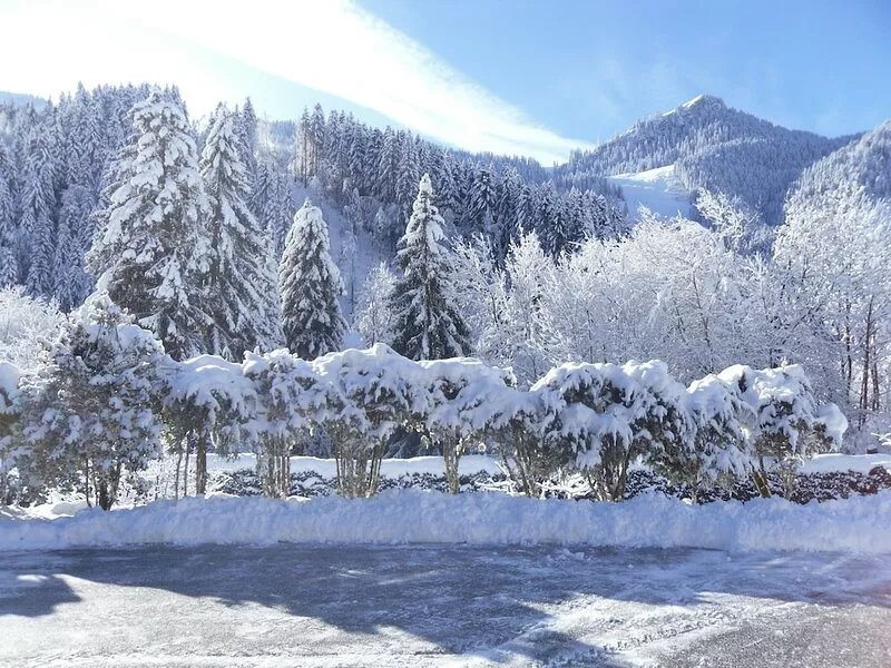 Apartment in Savoyard chalet