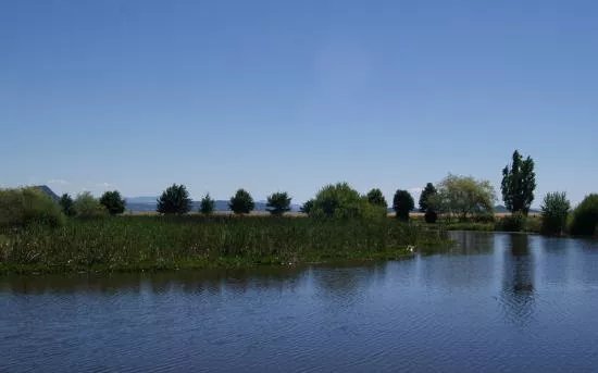 L'Etang de la Plaine