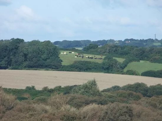 Combe Valley Countryside Park