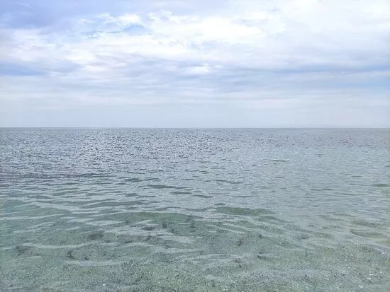 Spiaggia e Pineta Salamaghe