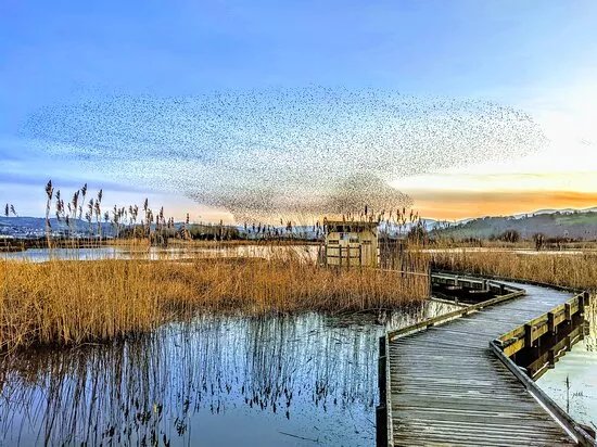 RSPB Conwy Nature Reserve