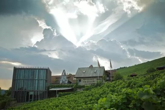 Weingut am Stein, Ludwig Knoll