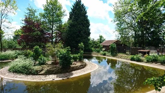 Letzenberg Tierpark Malsch