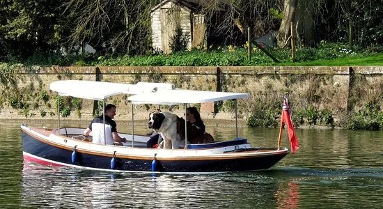 Pure Boating