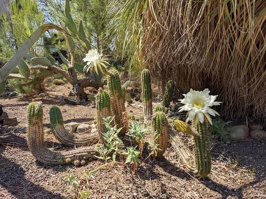 Jardin Exotique de Ponteilla