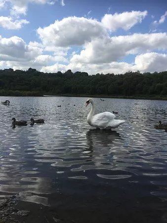 Horton Bank Country Park