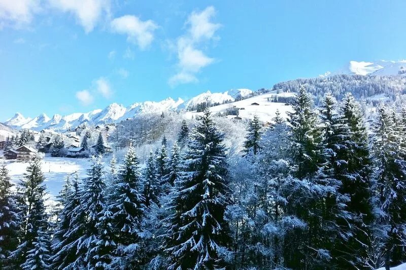 Chalet Ski au Pied 3 stars, 3 bedrooms - La Clusaz