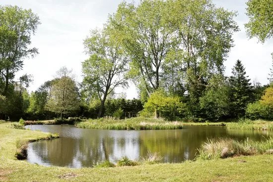 Woodington Lakes Trout Fishery