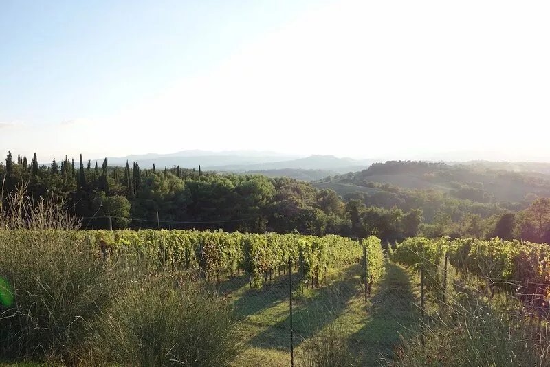Renovated 13th Century Monastery, Surrounded By Award-Winning Vineyards