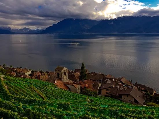 WINEMAX - Swiss Wine Exclusive Tour
