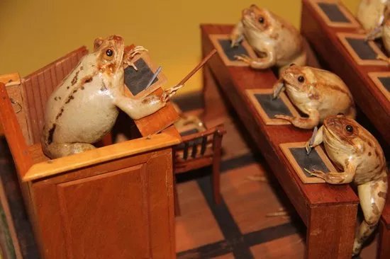 Musee d'Estavayer-le-Lac et ses Grenouilles