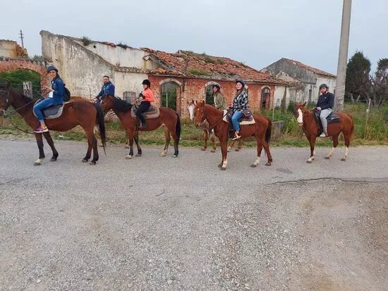 Scuderia Cutura Ranch