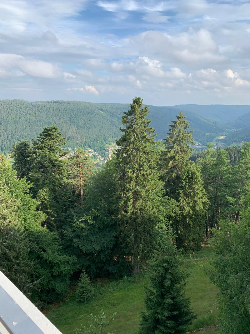Sommerberghotel