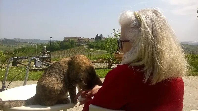 Comfortable country house near Asti and Turin, Piedmont