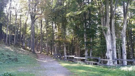 Parco Valentino