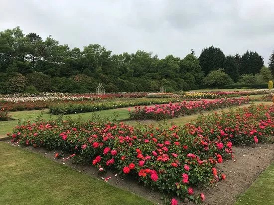 Hazlehead Park